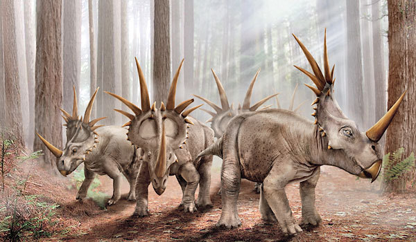 074_styracosaurus_ppyjgj.jpg