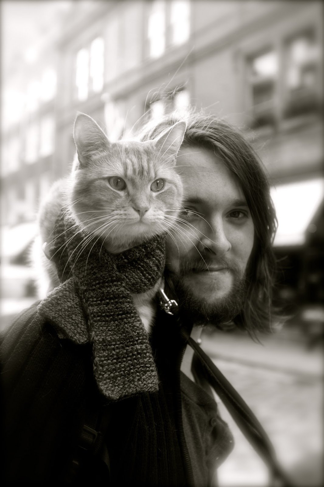 Um Gato De Rua Chamado Bob And Tom
