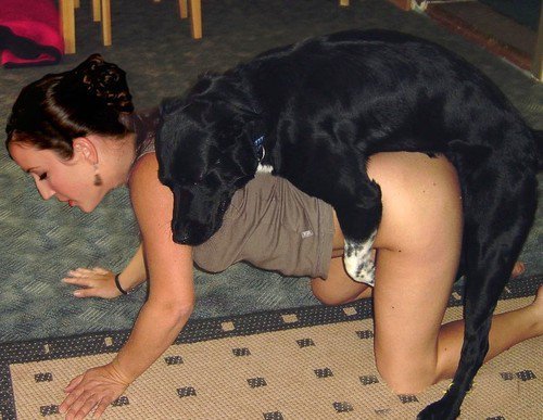 500px x 387px - Women having sex with dogs pictures - Other - XXX videos