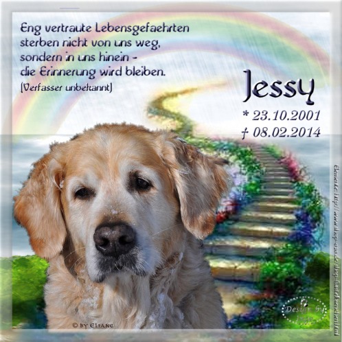 An den Beitrag angehängtes Bild: http://abload.de/img/2014-02-08_jessy_elialsy37.jpg