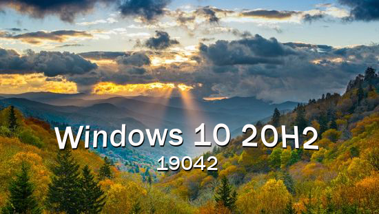 Microsoft Windows 10 Pro + Enterprise 20H2 v2009 Build 19042.804 (x64)