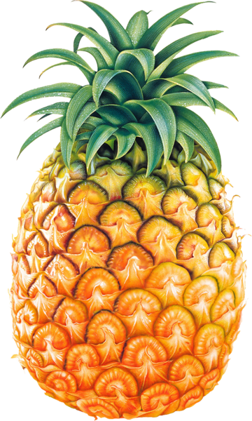 ananas-png-resim103tdyjf.png