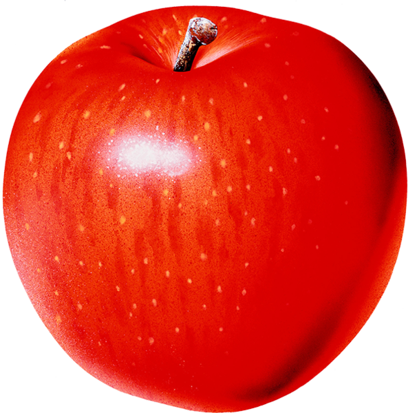 apple_png22aeohc.png