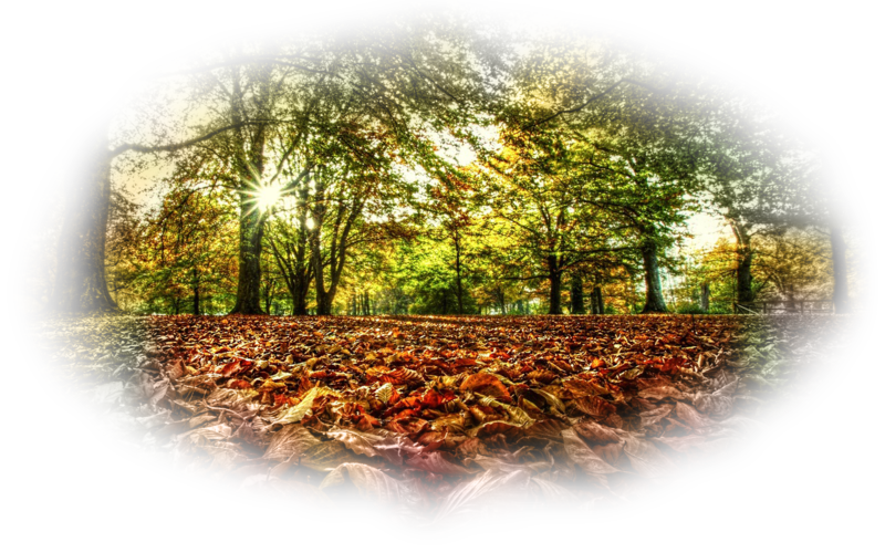 autumn-sonbahar_manza7pbvz.png
