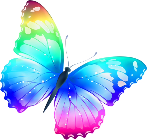 butterfly_png_nisanbo1hsao.png