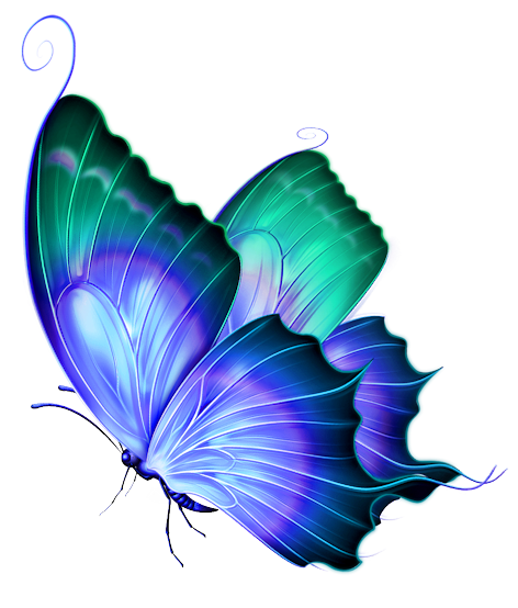 butterfly_png_nisanbo4ssmg.png
