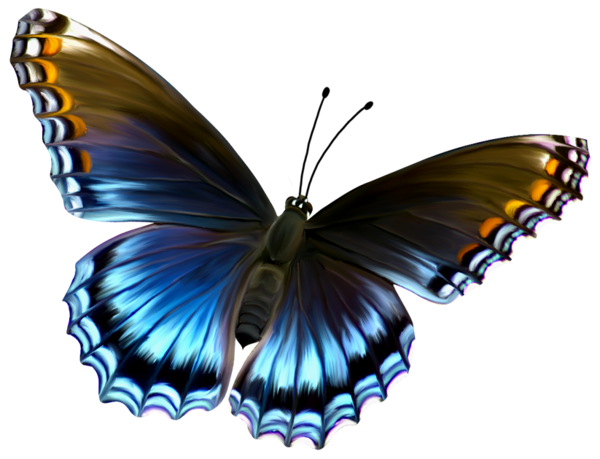 butterfly_png_nisanbo6ashf.png