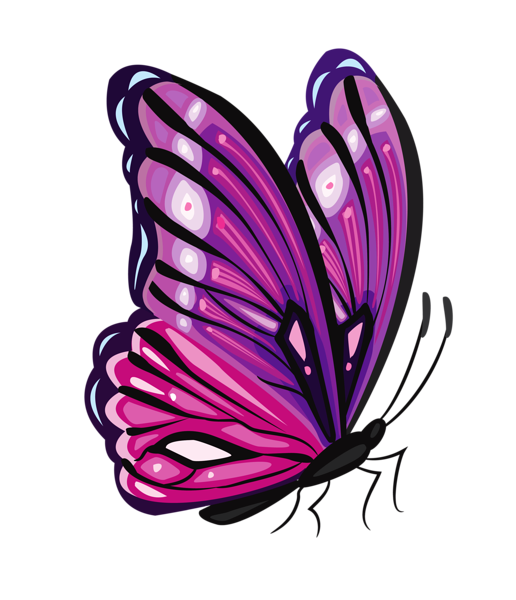 butterfly_png_nisanbo7asz5.png