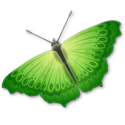 butterfly_png_nisanbo9bsaj.png