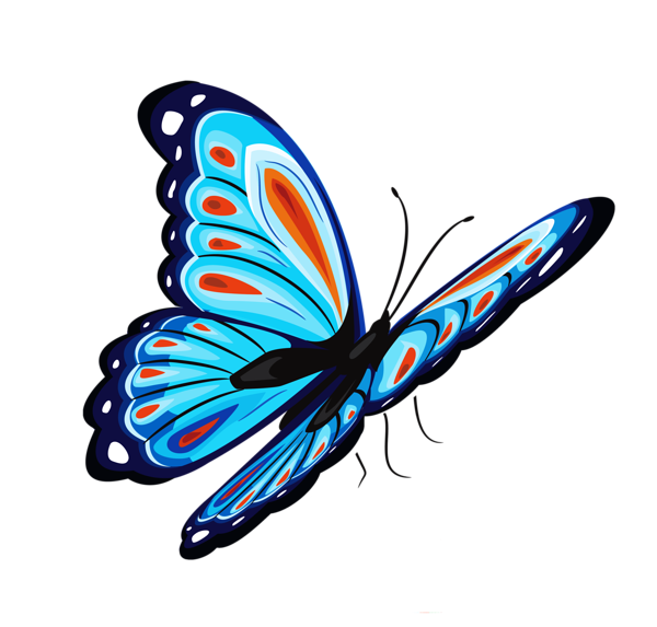 butterfly_png_nisanboa6sgr.png