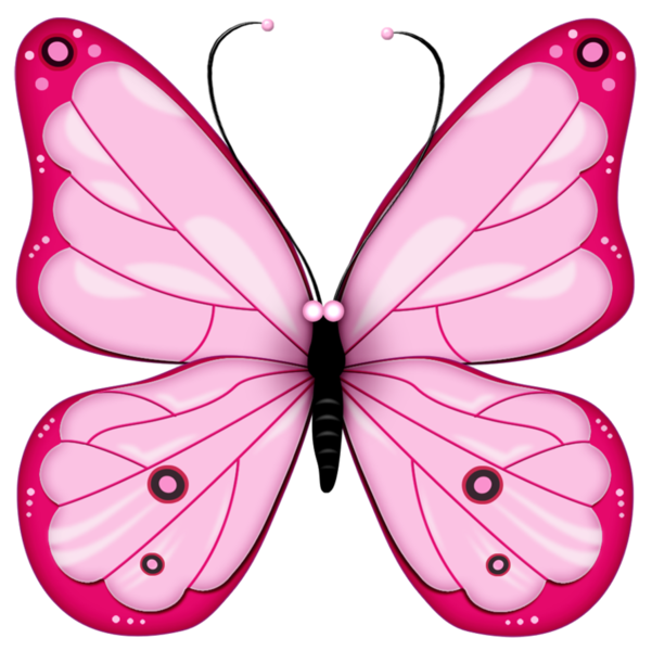 butterfly_png_nisanbocws2m.png