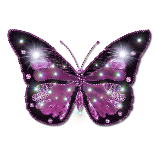 butterfly_png_nisanbodksxn.png