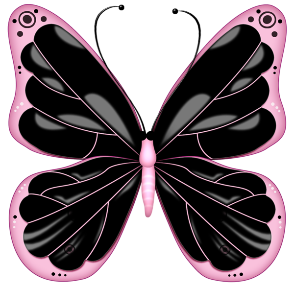butterfly_png_nisanboeks7g.png