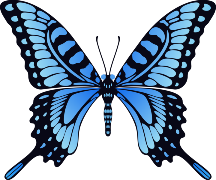 butterfly_png_nisanboihsds.png