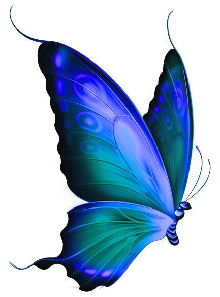 butterfly_png_nisanbooss6h.png