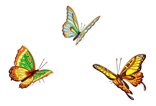 butterfly_png_nisanbootswm.png