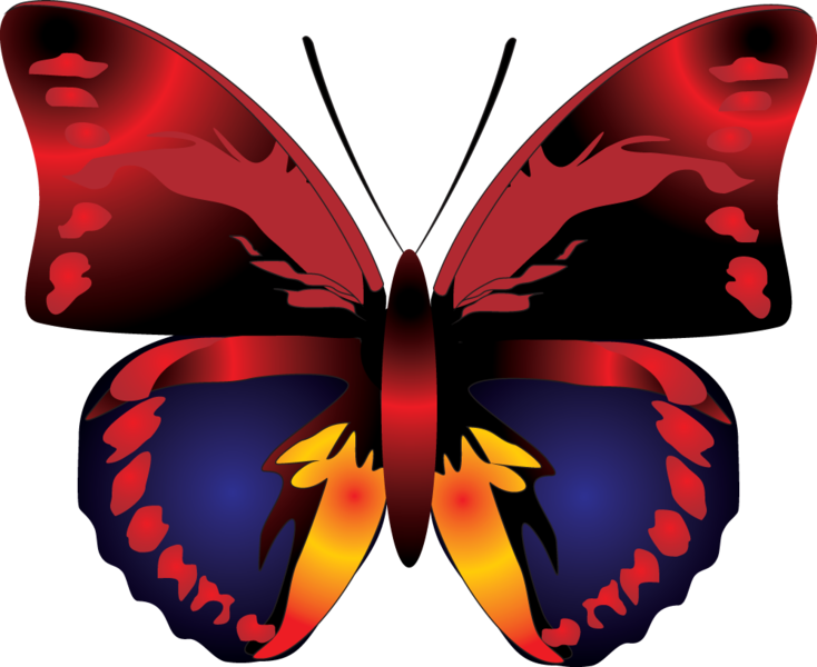 butterfly_png_nisanbouds34.png