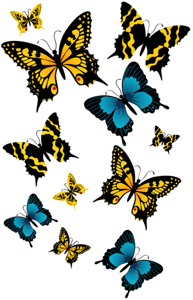 butterfly_png_nisanboupsu6.png
