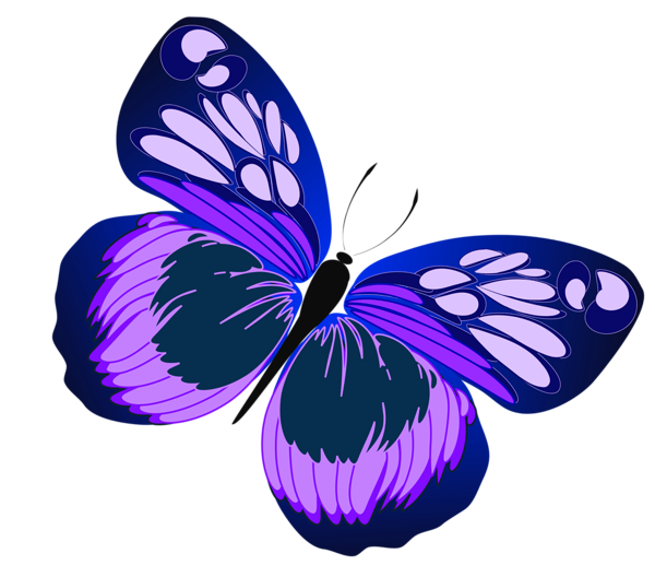 butterfly_png_nisanbovmsv4.png