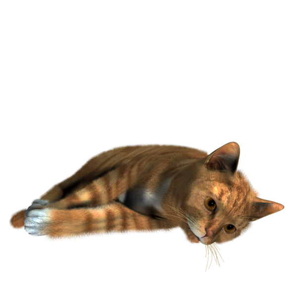 cat_png4mwkm5.png