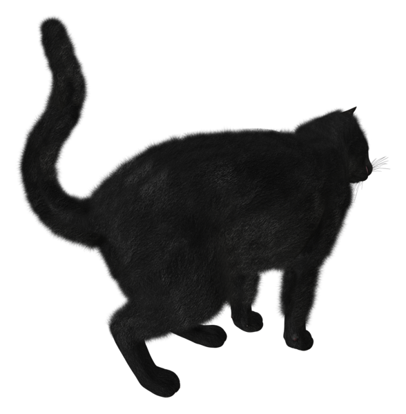 cat_png8ppjc4.png