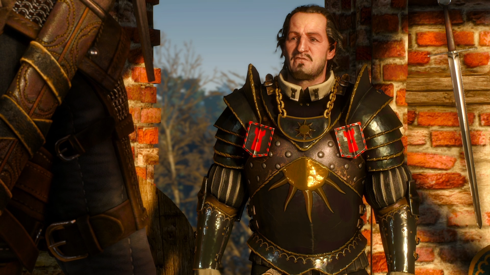 60 fps the witcher 3 фото 87