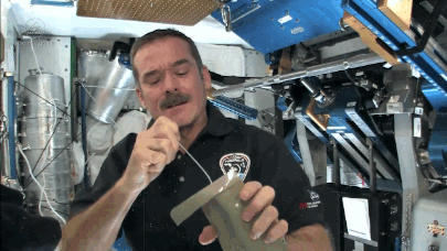desserts-in-space-mos17uit.gif