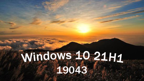 Microsoft Windows 10 Professional 21H1 Build 19043.867 (x64)