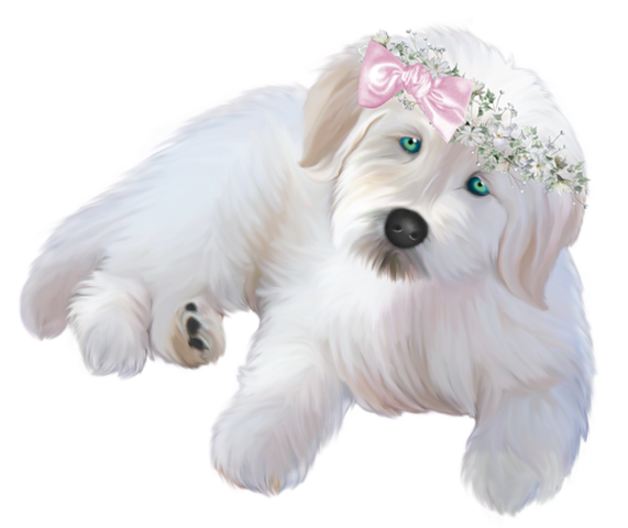 dogs_png_kpek_12qee2v.png