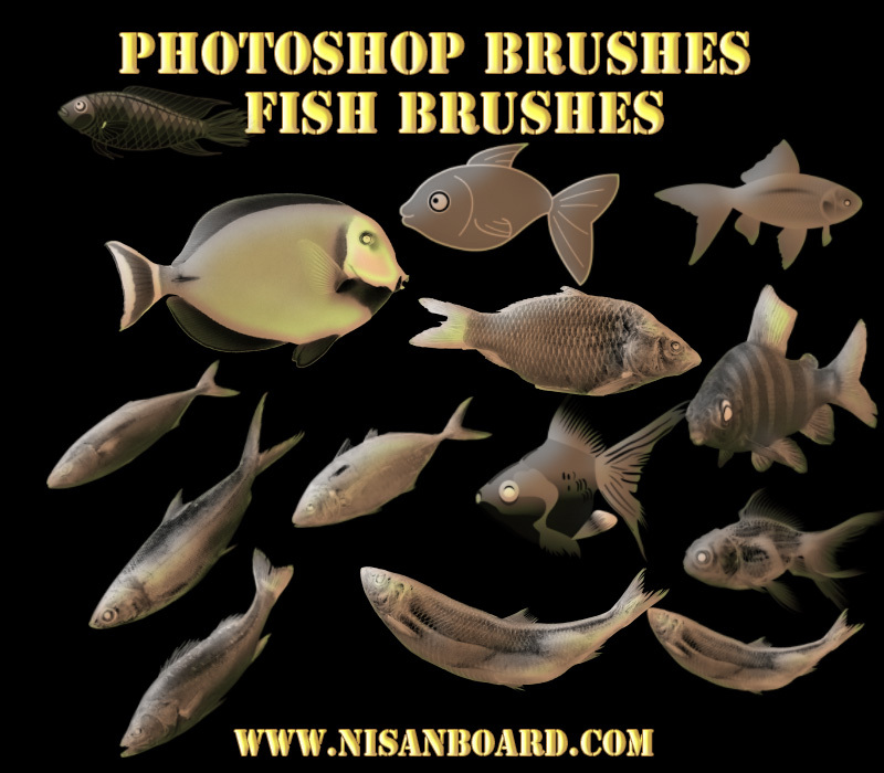 Photoshop Brushes, Photoshop fish Brushes