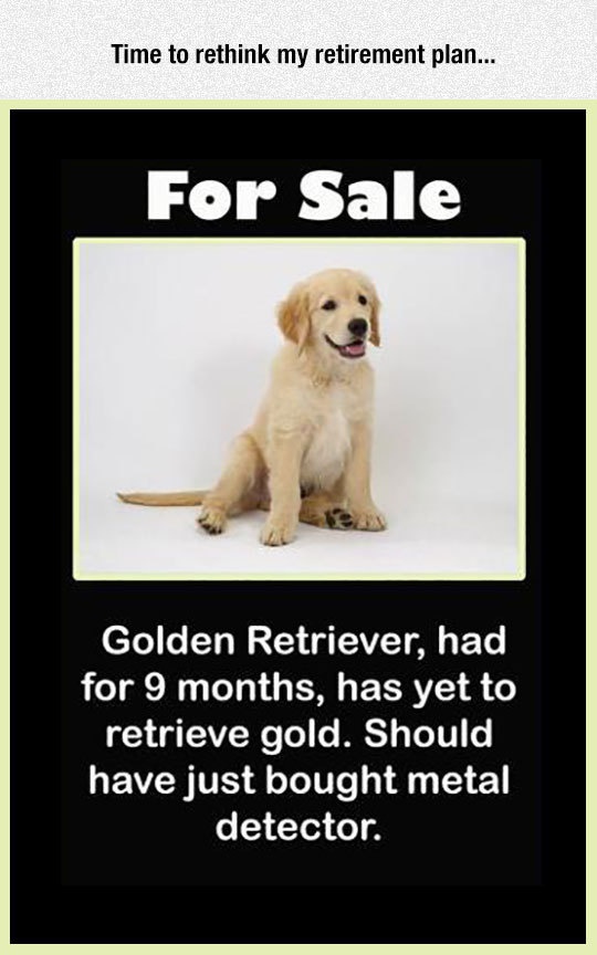 funny-dog-sale-sign-gbtkid.jpg