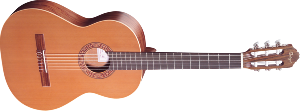 gitar-png84t0jzx.png