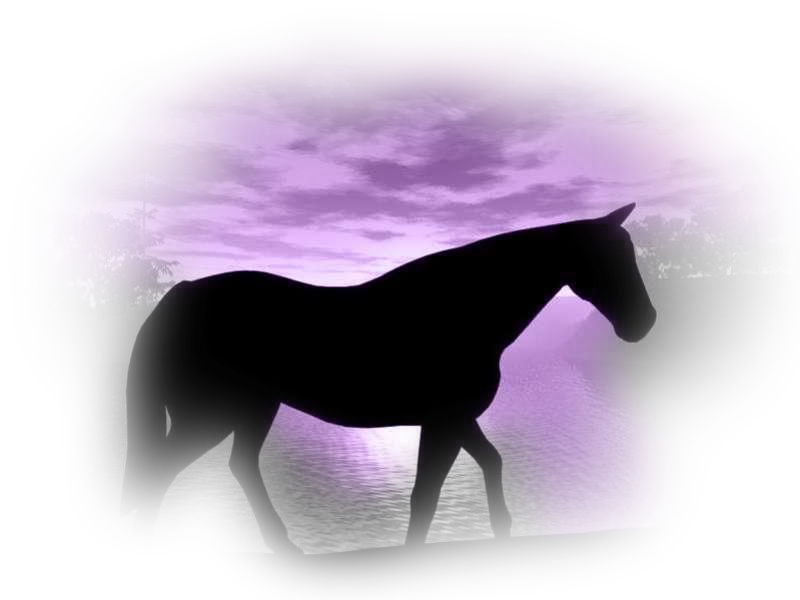 horse_png_13107zbd.png