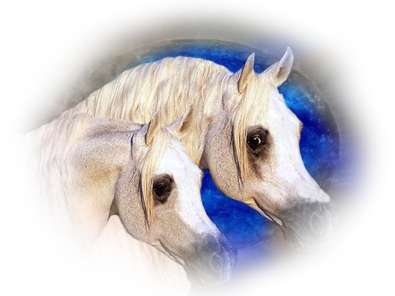 horse_png_98bkz4t.png