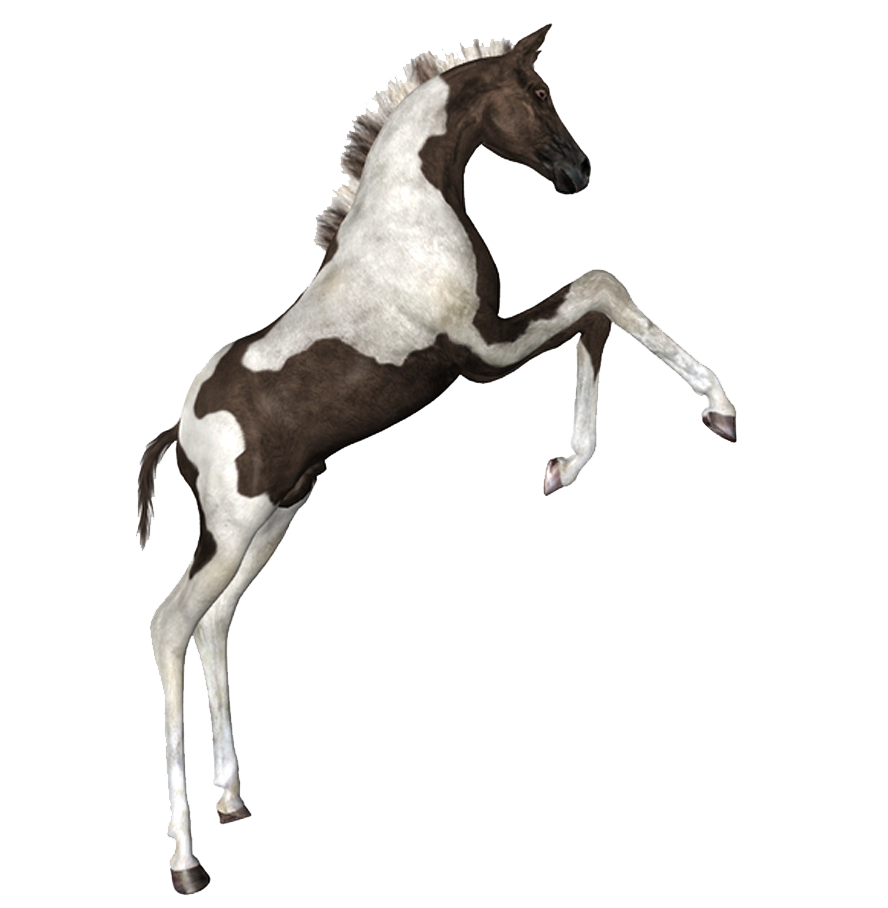 horse_png_at_png_8k4x9r.png