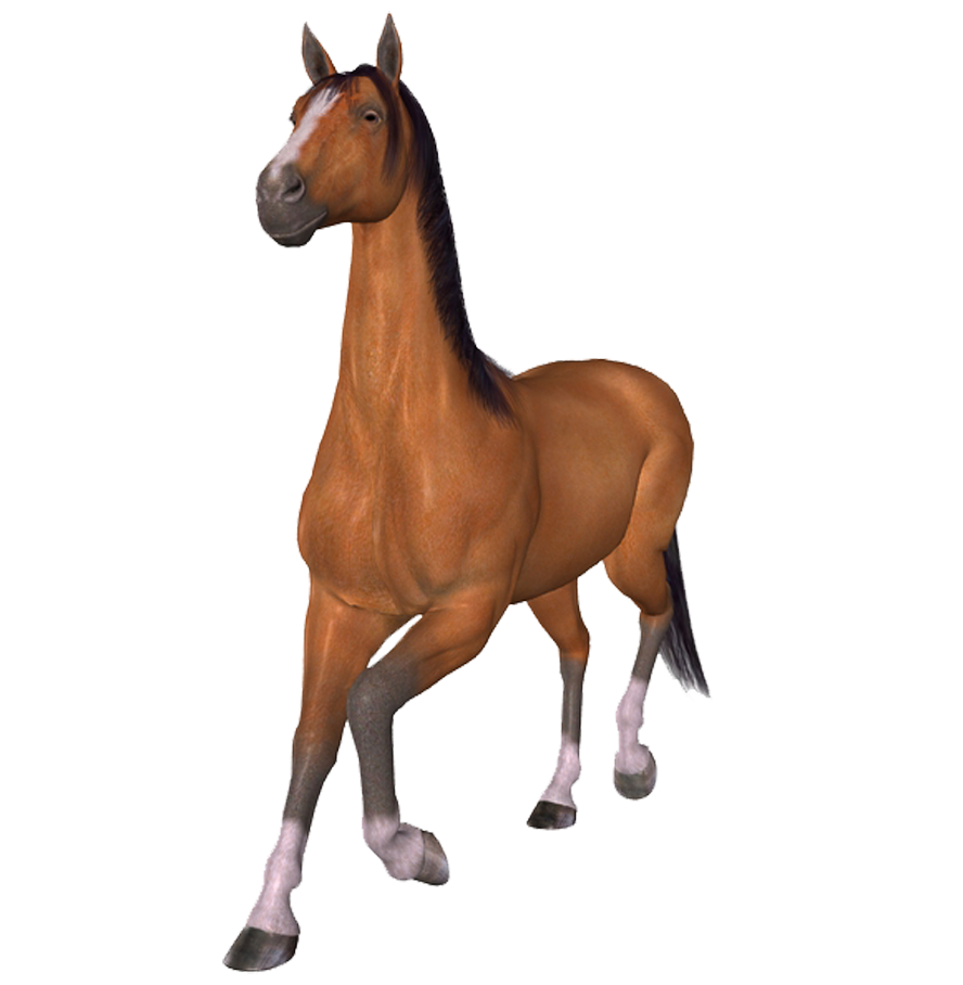 horse_png_at_png_9qmxh4.png