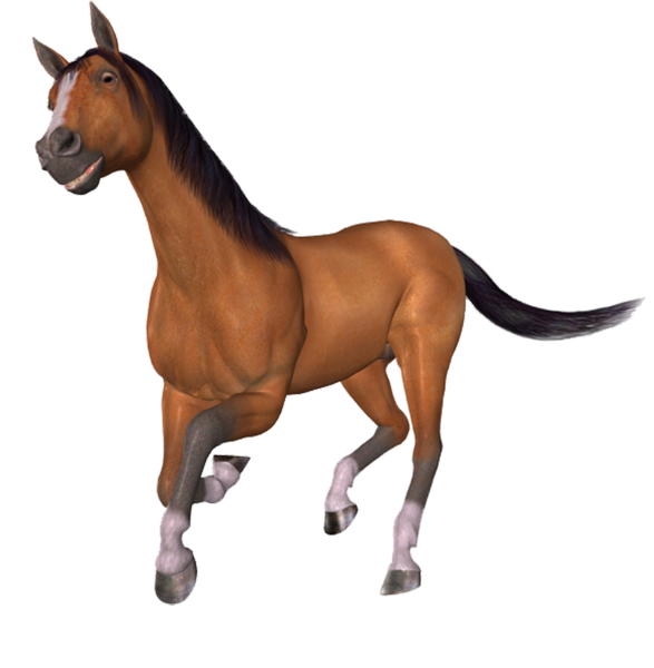 horse_png_nisanboard_1kqga.png