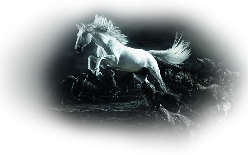 horse_png_nisanboard_6npwa.png