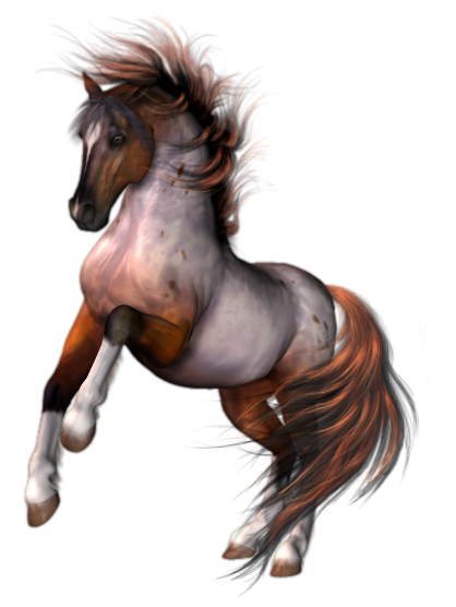 horse_png_nisanboard_bfz3w.png