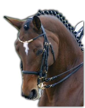 horse_png_nisanboard_s4rgv.png