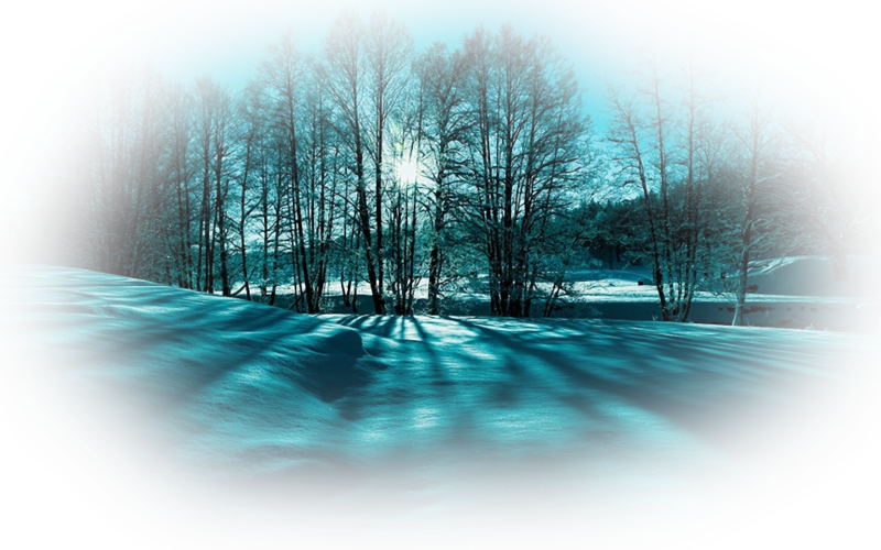 landscape_snow_trees_b7jjv.png
