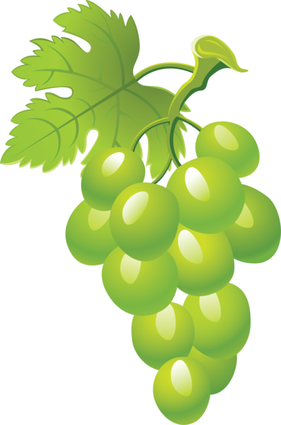 nisanboar_grape_png47toszl.png