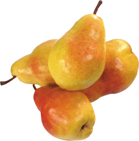 pear_png_nisanboard13xssfq.png