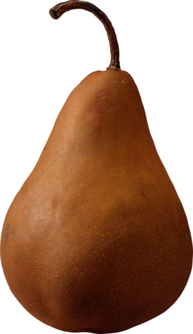 pear_png_nisanboard1545sfv.png