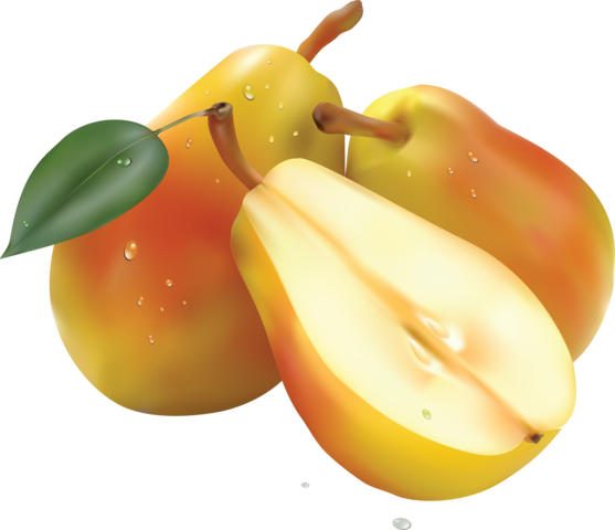 pear_png_nisanboard163csm8.png