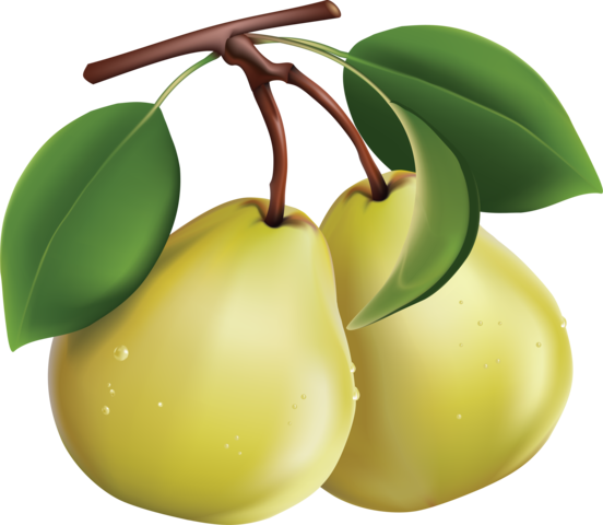 pear_png_nisanboard19j7sd2.png