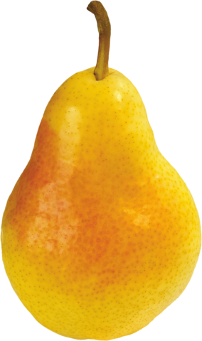 pear_png_nisanboard21o1spw.png