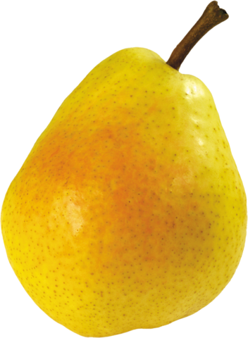 pear_png_nisanboard2550uoh.png