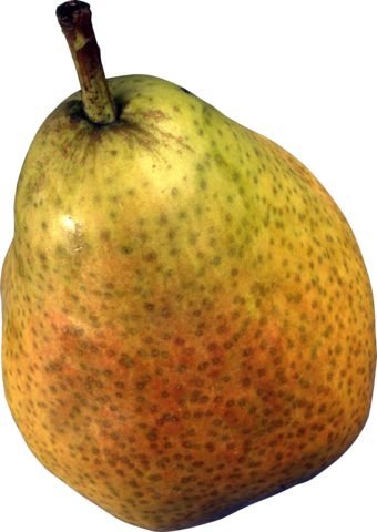 pear_png_nisanboard26zduh1.png