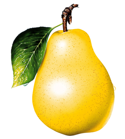 pear_png_nisanboard31qnuzf.png